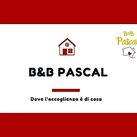 Pascal *